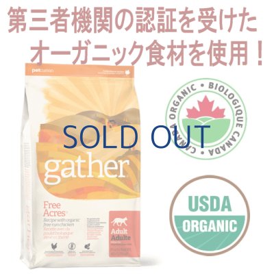 画像1: 【メーカーによる販売終了】GATHER（ギャザー）フリーエーカーキャット