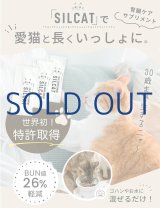 【10月31日入荷予定】腎臓ケアサプリ シルキャット（犬用：シルクフルと中身は同じです。）