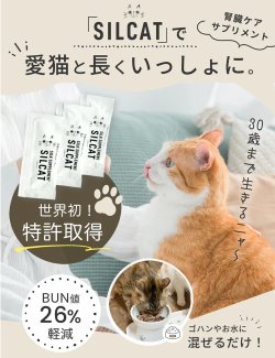 腎臓ケアサプリ シルキャット（犬用：シルクフルと中身は同じです。）