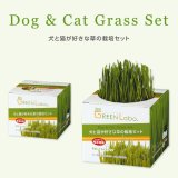 エイムクリエイツ 犬と猫が好きな草