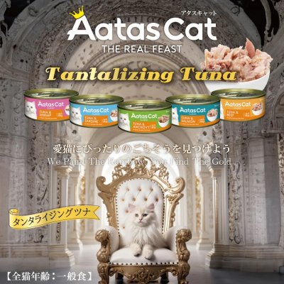 画像3: 【3月31日まで新発売記念3割引きキャンペーン実施中！】アタスキャット タンタライジングツナ ツナ＆アンチョビ 80ｇ