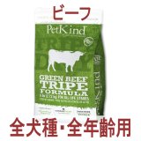 お一人様何回でもOK【無料サンプル（少量パック）（一度のご注文では5種類まで）】TRIPE DRY（トライプドライ）グリーンビーフトライプ