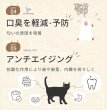 画像4: 腎臓ケアサプリ シルキャット（犬用：シルクフルと中身は同じです。） (4)