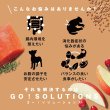 画像3: go！消化+腸の健康ケア ドッグフード (3)