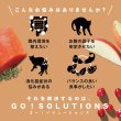 画像3: go！消化+腸の健康ケア キャットフード (3)