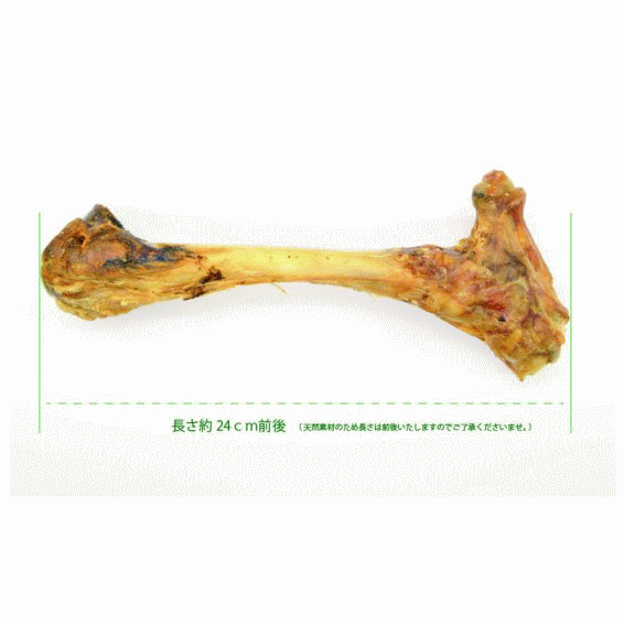 Mam S Deli 仔羊の骨の通販 無添加の犬猫用おやつならブロス